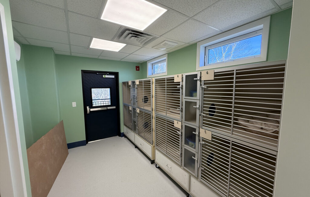 The interior of the Milton, Mass. animal shelter 