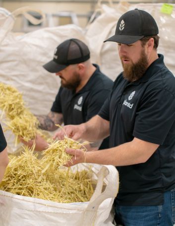 Highly renewable grass is used to create Plantd panels. Photos courtesy of Plantd.